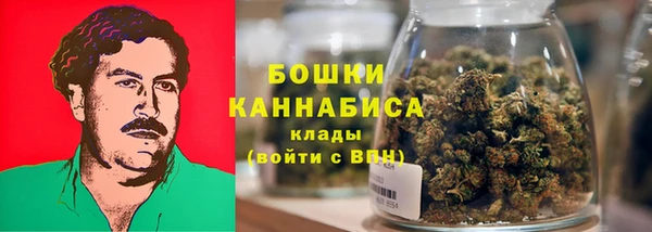мдпв Богородицк