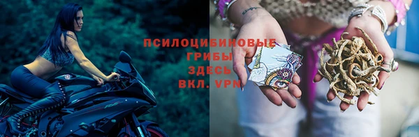 скорость Богородск