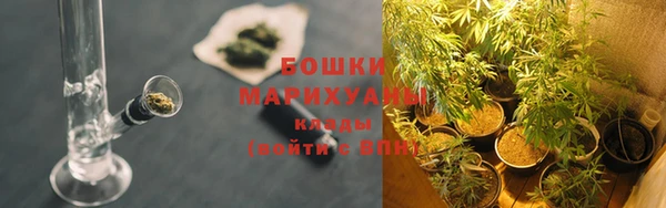 apvp Бугульма