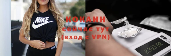 spice Бородино