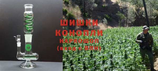 шишки Богданович