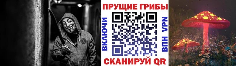 Псилоцибиновые грибы Cubensis Козельск